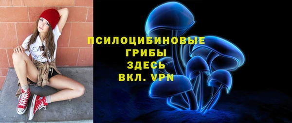 Альфа ПВП Заречный