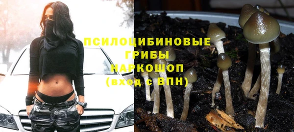трава Нязепетровск
