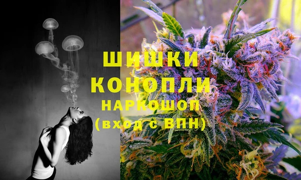 трава Нязепетровск